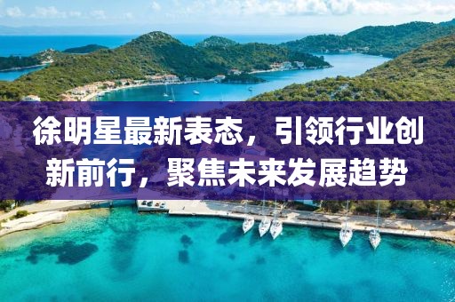 徐明星最新表态，引领行业创新前行，聚焦未来发展趋势