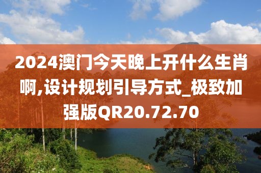 2024澳门今天晚上开什么生肖啊,设计规划引导方式_极致加强版QR20.72.70