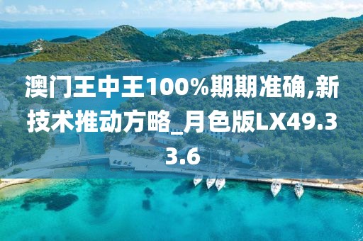 澳门王中王100%期期准确,新技术推动方略_月色版LX49.33.6