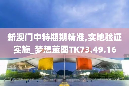 新澳门中特期期精准,实地验证实施_梦想蓝图TK73.49.16