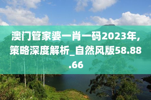 澳门管家婆一肖一码2023年,策略深度解析_自然风版58.88.66