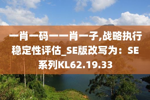 一肖一码一一肖一子,战略执行稳定性评估_SE版改写为：SE系列KL62.19.33