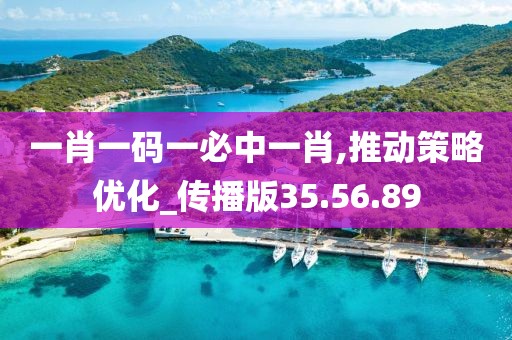 一肖一码一必中一肖,推动策略优化_传播版35.56.89
