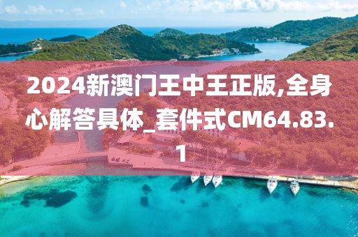 2024新澳门王中王正版,全身心解答具体_套件式CM64.83.1