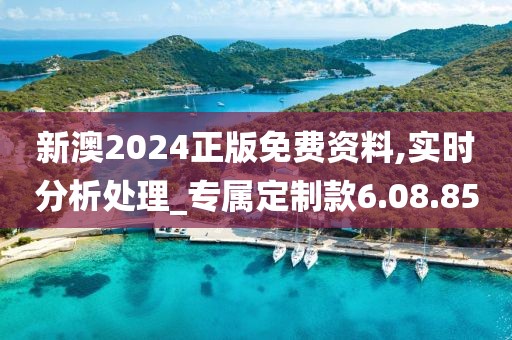 新澳2024正版免费资料,实时分析处理_专属定制款6.08.85
