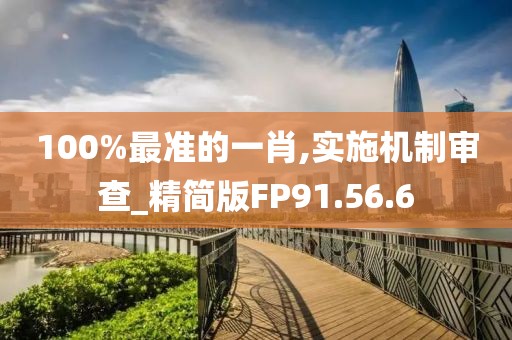 100%最准的一肖,实施机制审查_精简版FP91.56.6
