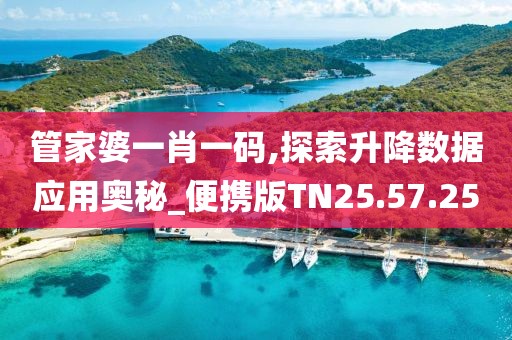 管家婆一肖一码,探索升降数据应用奥秘_便携版TN25.57.25