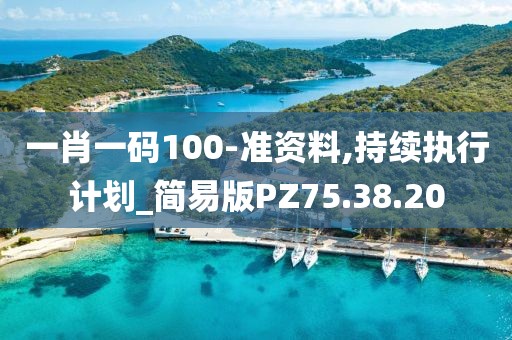 一肖一码100-准资料,持续执行计划_简易版PZ75.38.20