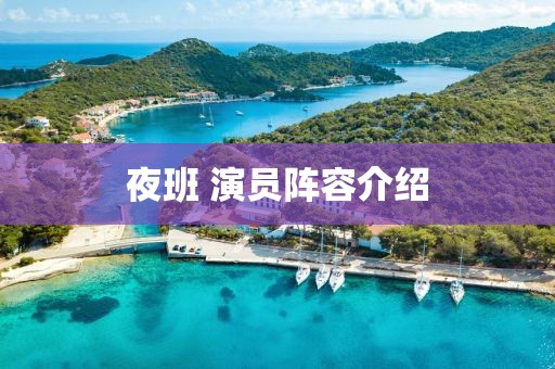 夜班 演员阵容介绍
