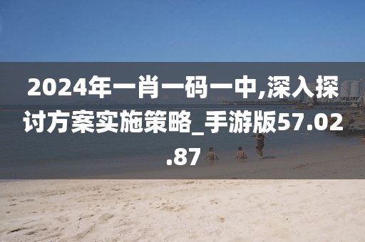 2024年一肖一码一中,深入探讨方案实施策略_手游版57.02.87