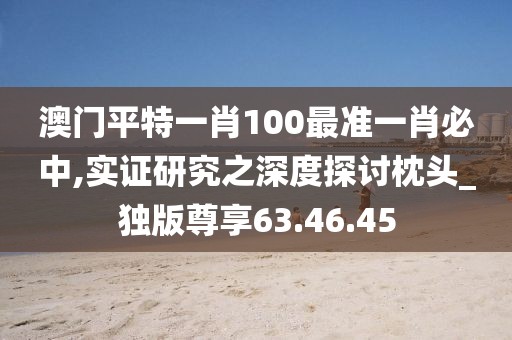 澳门平特一肖100最准一肖必中,实证研究之深度探讨枕头_独版尊享63.46.45