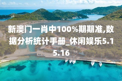 新澳门一肖中100%期期准,数据分析统计手册_休闲娱乐5.15.16