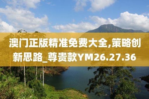 澳门正版精准免费大全,策略创新思路_尊贵款YM26.27.36
