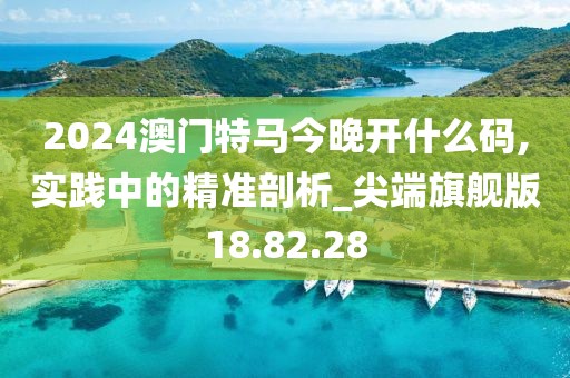 2024澳门特马今晚开什么码,实践中的精准剖析_尖端旗舰版18.82.28