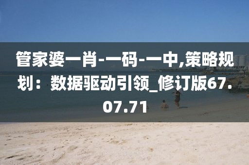 管家婆一肖-一码-一中,策略规划：数据驱动引领_修订版67.07.71