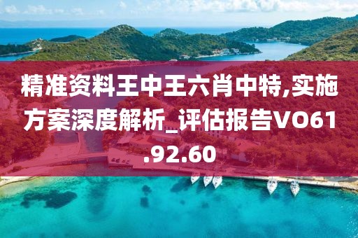 精准资料王中王六肖中特,实施方案深度解析_评估报告VO61.92.60