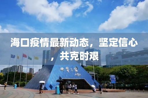 海口疫情最新动态，坚定信心，共克时艰