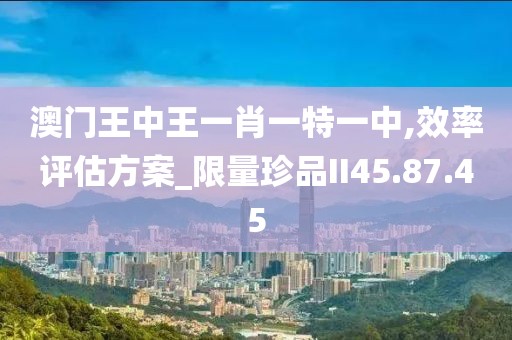 澳门王中王一肖一特一中,效率评估方案_限量珍品II45.87.45