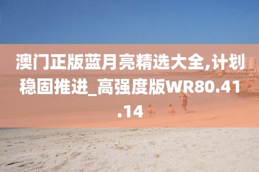 澳门正版蓝月亮精选大全,计划稳固推进_高强度版WR80.41.14