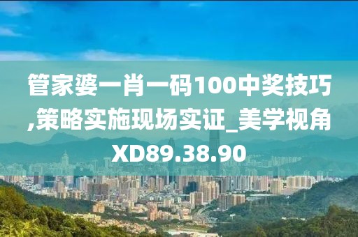 管家婆一肖一码100中奖技巧,策略实施现场实证_美学视角XD89.38.90
