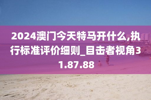 2024澳门今天特马开什么,执行标准评价细则_目击者视角31.87.88