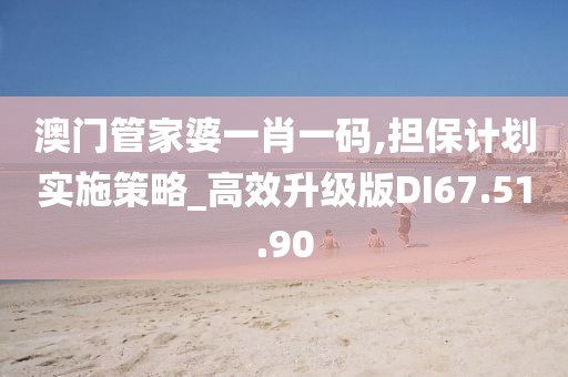 澳门管家婆一肖一码,担保计划实施策略_高效升级版DI67.51.90