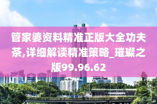 管家婆资料精准正版大全功夫茶,详细解读精准策略_璀璨之版99.96.62