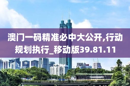 澳门一码精准必中大公开,行动规划执行_移动版39.81.11