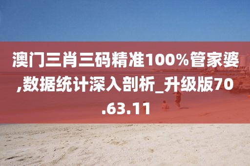 澳门三肖三码精准100%管家婆,数据统计深入剖析_升级版70.63.11