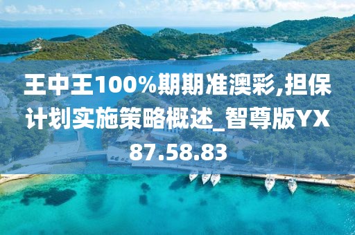 王中王100%期期准澳彩,担保计划实施策略概述_智尊版YX87.58.83
