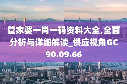 管家婆一肖一码资料大全,全面分析与详细解读_供应视角GC90.09.66