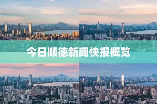 今日顺德新闻快报概览