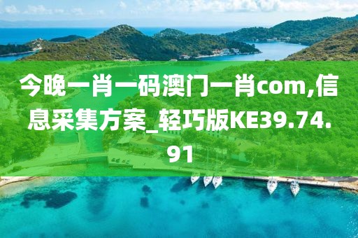 今晚一肖一码澳门一肖com,信息采集方案_轻巧版KE39.74.91