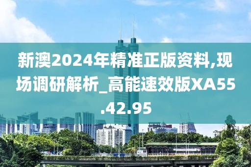 新澳2024年精准正版资料,现场调研解析_高能速效版XA55.42.95