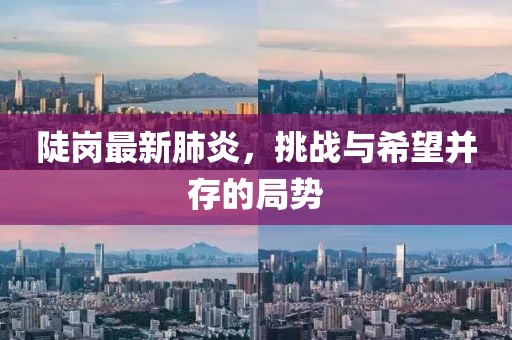 陡岗最新肺炎，挑战与希望并存的局势