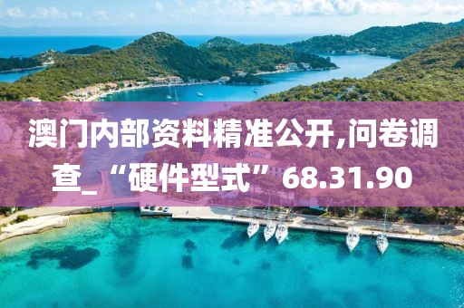 澳门内部资料精准公开,问卷调查_“硬件型式”68.31.90