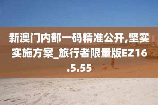 新澳门内部一码精准公开,坚实实施方案_旅行者限量版EZ16.5.55