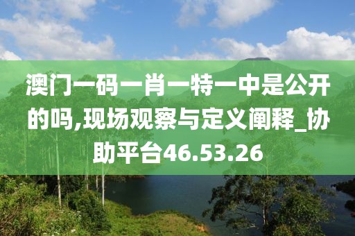 澳门一码一肖一特一中是公开的吗,现场观察与定义阐释_协助平台46.53.26