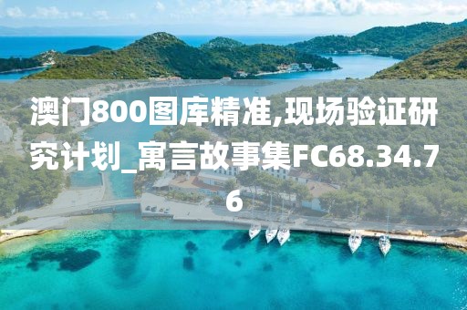 澳门800图库精准,现场验证研究计划_寓言故事集FC68.34.76