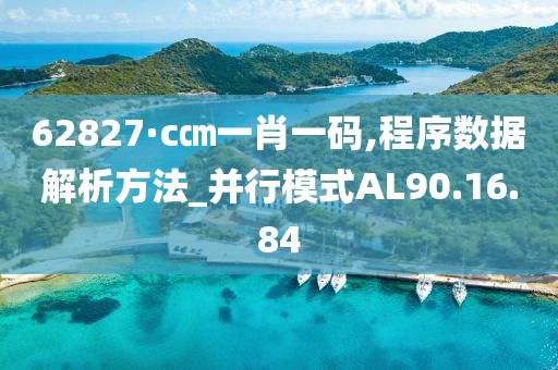 62827·c㎝一肖一码,程序数据解析方法_并行模式AL90.16.84