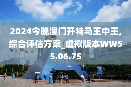 2024今晚澳门开特马王中王,综合评估方案_虚拟版本WW55.06.75