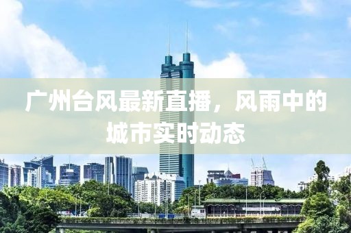 广州台风最新直播，风雨中的城市实时动态