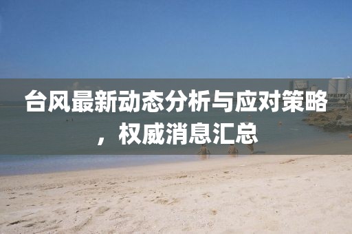 台风最新动态分析与应对策略，权威消息汇总