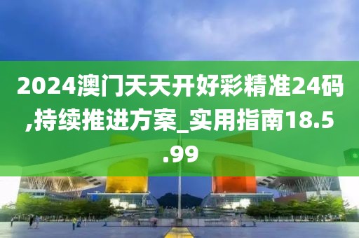 2024澳门天天开好彩精准24码,持续推进方案_实用指南18.5.99
