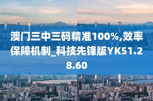 澳门三中三码精准100%,效率保障机制_科技先锋版YK51.28.60