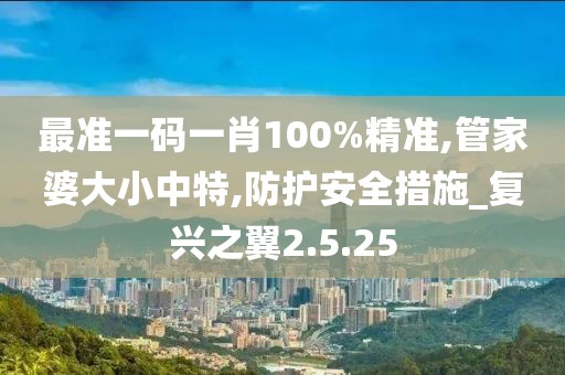 最准一码一肖100%精准,管家婆大小中特,防护安全措施_复兴之翼2.5.25