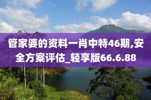 管家婆的资料一肖中特46期,安全方案评估_轻享版66.6.88