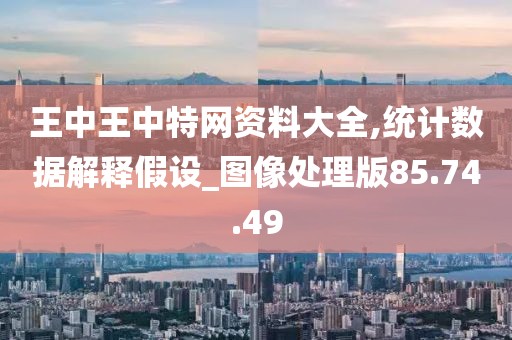 王中王中特网资料大全,统计数据解释假设_图像处理版85.74.49