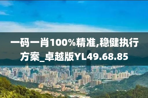 一码一肖100%精准,稳健执行方案_卓越版YL49.68.85