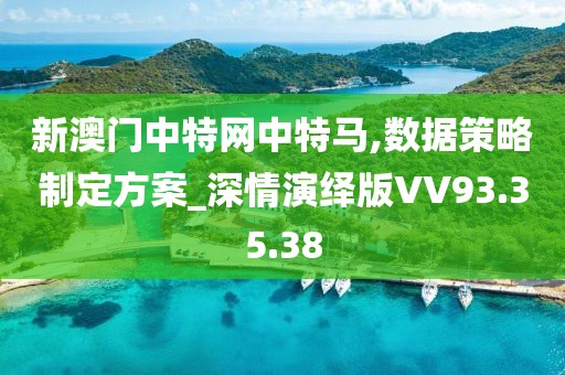 新澳门中特网中特马,数据策略制定方案_深情演绎版VV93.35.38